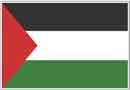 Palestine flag
