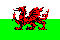 Wales Flag