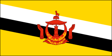 bruni flag