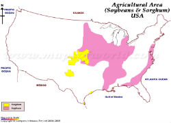 USA Soyabean and Sorgum Growing Area