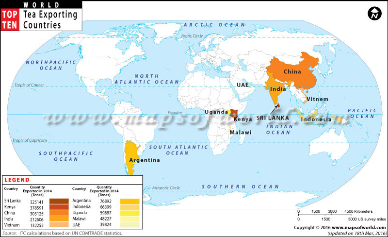 Top 10 Tea Exporting Countries in the World - Top Ten